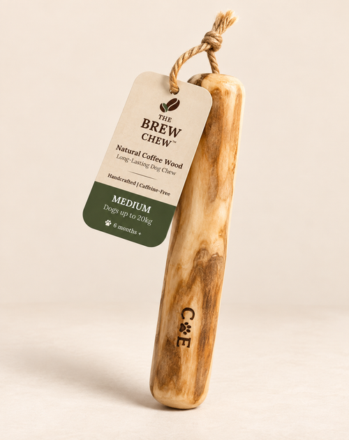 Product image of The Brew Chew™ | natural coffee wood dog chew with a hanging tag