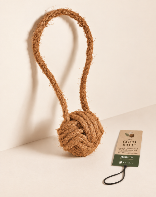 Product image of The Coco Ball™ | natural coconut husk dog toy with hanging loop