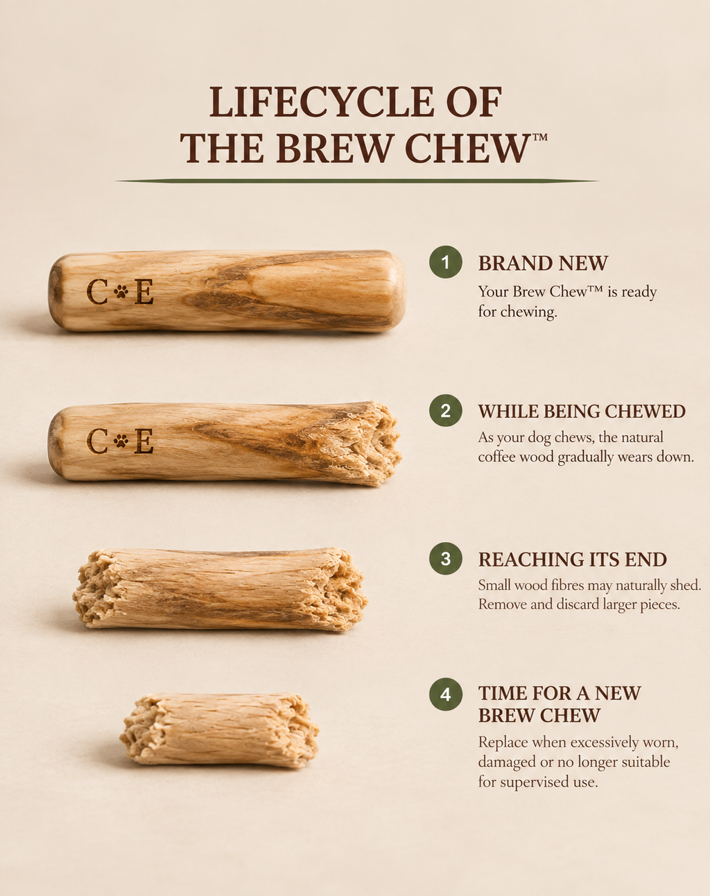 The life cycle of The Brew Chew